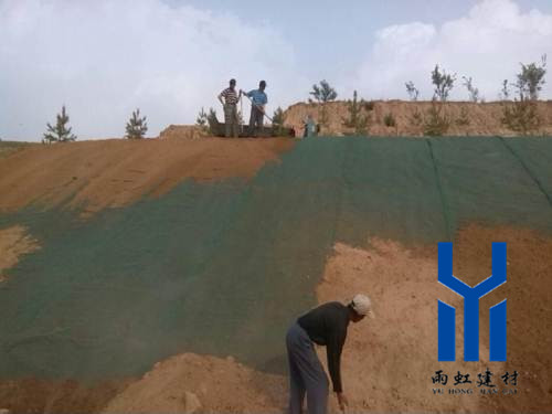 三維植被網(wǎng)http://qdcixiu.com.cn/