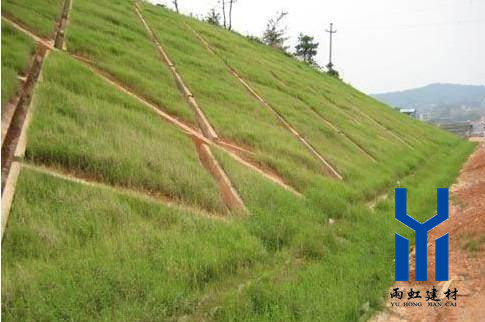 三維植被網(wǎng)http://qdcixiu.com.cn/